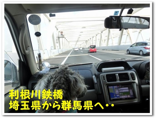 11.CIMG1303(利根川鉄橋).jpg